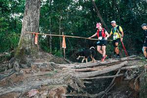 BIB: 
                            <button type="button" onclick="openModal(27312879)" class="btn btn-primary btn-sm float-right btn-popup" data-toggle="modal" data-target=".modal-high-quality">
                        <i class="fas fa-shopping-cart"></i> Add to Cart
                    </button>
                                            <button type="button" onclick="isThisMe(27312879, true)" class="btn btn-success btn-sm float-right btn-popup btn-isme hidden" data-toggle="tooltip" data-placement="bottom" title="นี่คือรูปของคุณใช่ไหม คลิกที่นี่เพื่อเอาเข้าอัลบั้ม">
                        <i class="fas fa-plus"></i> Add to album
                    </button>
                    <button type="button" onclick="isThisMe(27312879, false)" class="btn btn-warning btn-sm float-right btn-popup btn-isnotme hidden">
                        <i class="fas fa-ban"></i> Remove from album
                    </button>